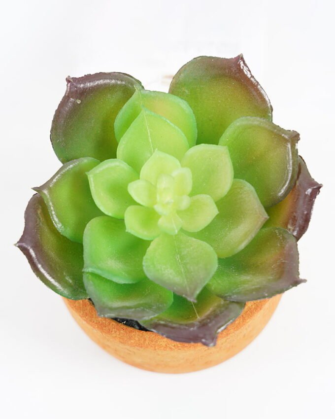 Artificial succulent Succulent plant in Paper pulp pot GS-51721066_9 Artificial succulent Succulent plant in Paper pulp pot GS-51721066 Succulent YeahFlower is one of Chinese leading OEM manufacturers and exporters , supplying the silk flowers, wholesale artificial trees