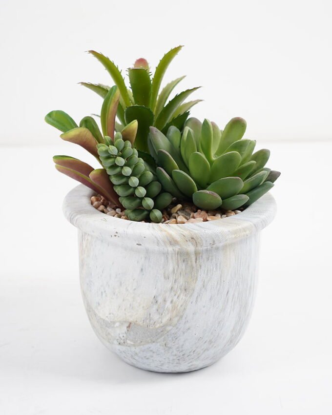 Artificial succulent 11*11*15cm Succulent+grass in cement pot GS-51721009 Succulent YeahFlower is one of Chinese leading OEM manufacturers and exporters , supplying the silk flowers, wholesale artificial trees