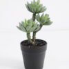 Artificial succulent succulent plants in plastic pot GS-51720121 Succulent YeahFlower is one of Chinese leading OEM manufacturers and exporters , supplying the silk flowers, wholesale artificial trees