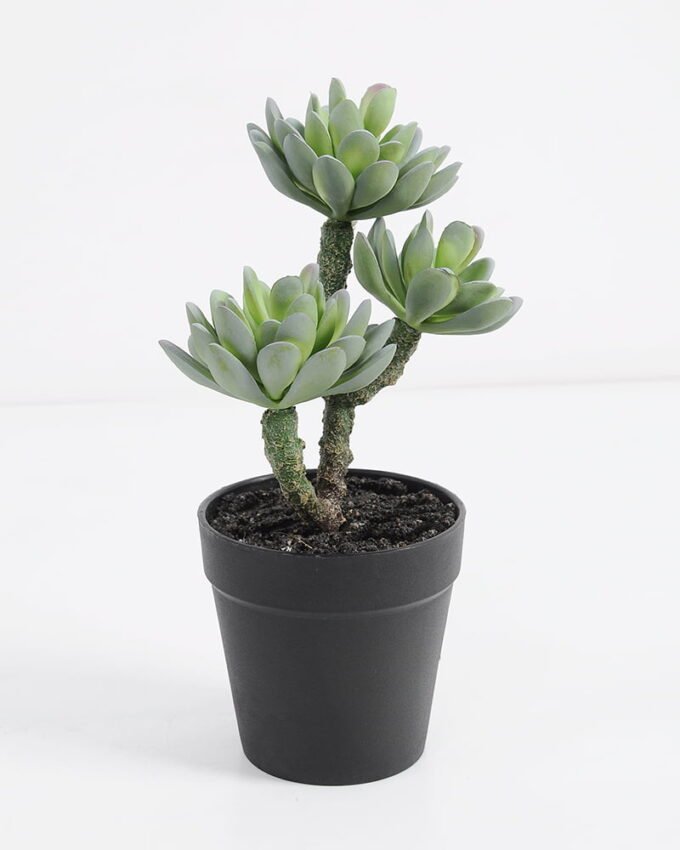 Artificial succulent succulent plants in plastic pot GS-51720121 Succulent YeahFlower is one of Chinese leading OEM manufacturers and exporters , supplying the silk flowers, wholesale artificial trees