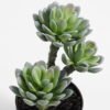 Artificial succulent succulent plants in plastic pot GS-51720121 Succulent YeahFlower is one of Chinese leading OEM manufacturers and exporters , supplying the silk flowers, wholesale artificial trees