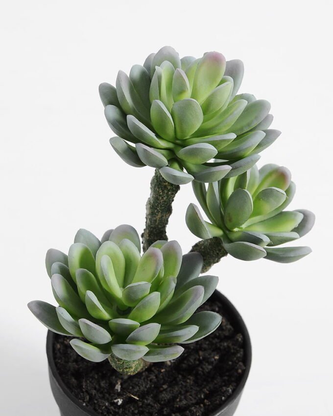 Artificial succulent succulent plants in plastic pot GS-51720121 Succulent YeahFlower is one of Chinese leading OEM manufacturers and exporters , supplying the silk flowers, wholesale artificial trees