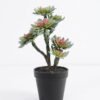 Artificial succulent succulent plants in plastic pot GS-51720128 Succulent YeahFlower is one of Chinese leading OEM manufacturers and exporters , supplying the silk flowers, wholesale artificial trees