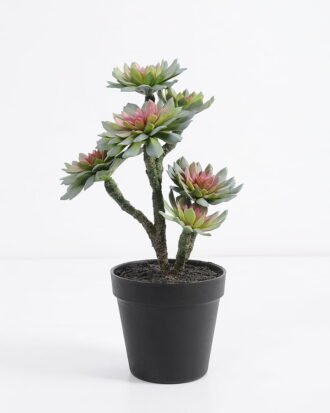 Artificial succulent succulent plants in plastic pot GS-51720128 Succulent YeahFlower is one of Chinese leading OEM manufacturers and exporters , supplying the silk flowers, wholesale artificial trees Artificial succulent succulent plants in plastic pot GS-51720128 Succulent YeahFlower is one of Chinese leading OEM manufacturers and exporters , supplying the silk flowers, wholesale artificial trees