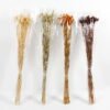 Dried Flowers 12*70 Nature grass 70g GS-56619033 Bouquet YeahFlower is one of Chinese leading OEM manufacturers and exporters , supplying the silk flowers, wholesale artificial trees