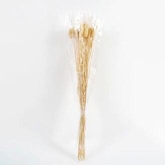 Dried Flowers 12*70 Nature grass 70g GS-56619033 Bouquet YeahFlower is one of Chinese leading OEM manufacturers and exporters , supplying the silk flowers, wholesale artificial trees