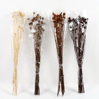 Dried Flowers 13*70CM ALLIUM FISTULOSUM 60g GS-56619021 Bouquet YeahFlower is one of Chinese leading OEM manufacturers and exporters , supplying the silk flowers, wholesale artificial trees