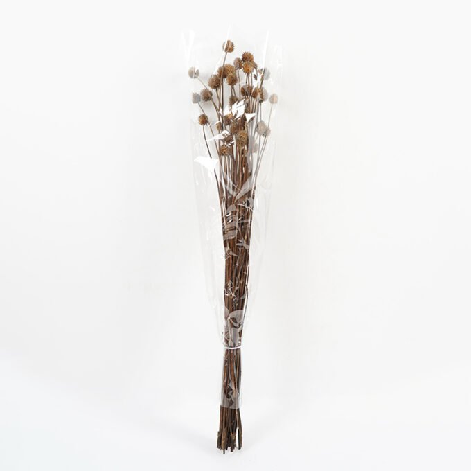 Dried-Flowers-ALLIUM-FISTULOSUM-60g-GS-56619021CONTI_2-1.jpg Dried Flowers 13*70CM ALLIUM FISTULOSUM 60g GS-56619021 Bouquet YeahFlower is one of Chinese leading OEM manufacturers and exporters , supplying the silk flowers, wholesale artificial trees