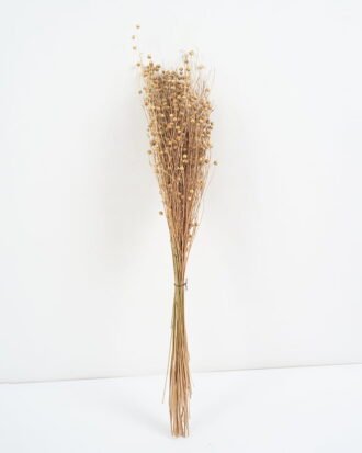 Dried Flowers Dried grass Flax 65cm GS-56621051-N1-RST Bouquet YeahFlower is one of Chinese leading OEM manufacturers and exporters , supplying the silk flowers, wholesale artificial trees Dried Flowers Dried grass Flax 65cm GS-56621051-N1-RST Bouquet YeahFlower is one of Chinese leading OEM manufacturers and exporters , supplying the silk flowers, wholesale artificial trees