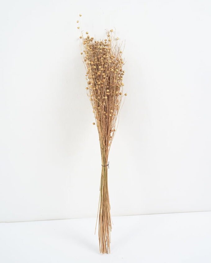 Dried Flowers Dried grass Flax 65cm GS-56621051-N1-RST Bouquet YeahFlower is one of Chinese leading OEM manufacturers and exporters , supplying the silk flowers, wholesale artificial trees