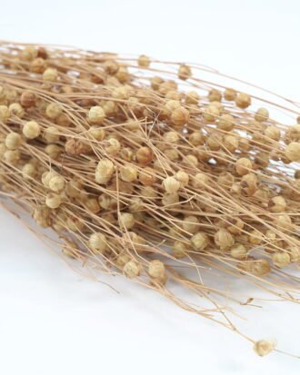 Dried Flowers Dried grass Flax 65cm GS-56621051-N1-RST Bouquet YeahFlower is one of Chinese leading OEM manufacturers and exporters , supplying the silk flowers, wholesale artificial trees Dried Flowers Dried grass Flax 65cm GS-56621051-N1-RST Bouquet YeahFlower is one of Chinese leading OEM manufacturers and exporters , supplying the silk flowers, wholesale artificial trees