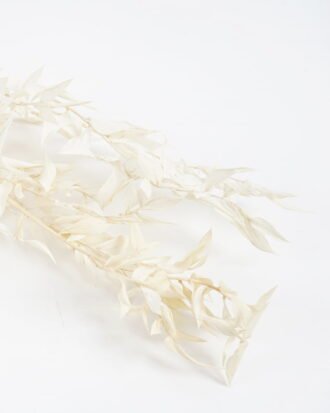 Dried Flowers H:30CM Dried natural flower in box GS-56621026 Dried Flowers YeahFlower is one of Chinese leading OEM manufacturers and exporters , supplying the silk flowers, wholesale artificial trees