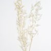 Dried Flowers H:30CM Dried natural flower in box GS-56621026 Dried Flowers YeahFlower is one of Chinese leading OEM manufacturers and exporters , supplying the silk flowers, wholesale artificial trees