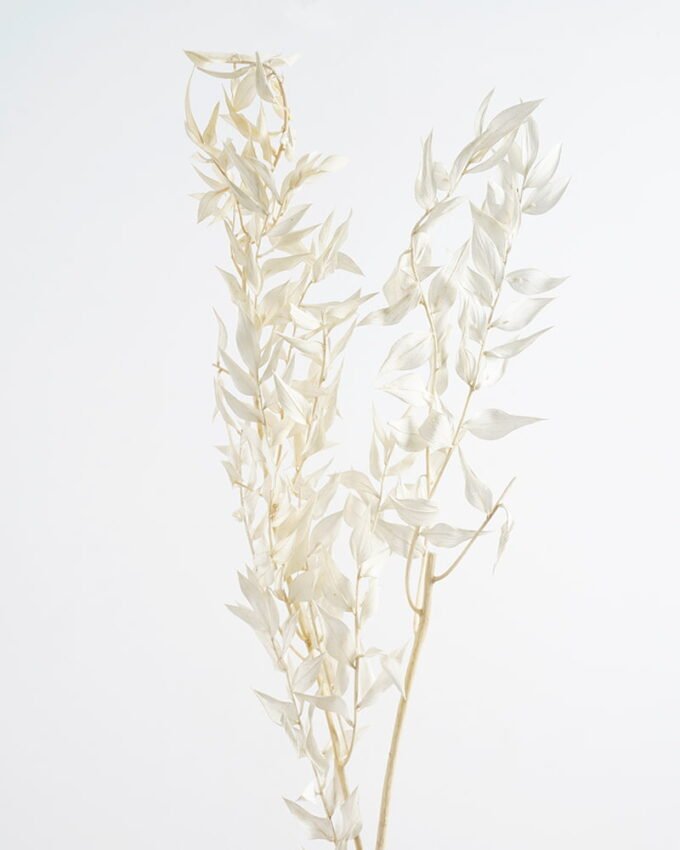 Dried Flowers H:30CM Dried natural flower in box GS-56621026 Dried Flowers YeahFlower is one of Chinese leading OEM manufacturers and exporters , supplying the silk flowers, wholesale artificial trees