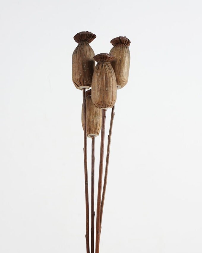 Dried Flowers H:30CM Dried natural flower in box GS-56621026 Dried Flowers YeahFlower is one of Chinese leading OEM manufacturers and exporters , supplying the silk flowers, wholesale artificial trees