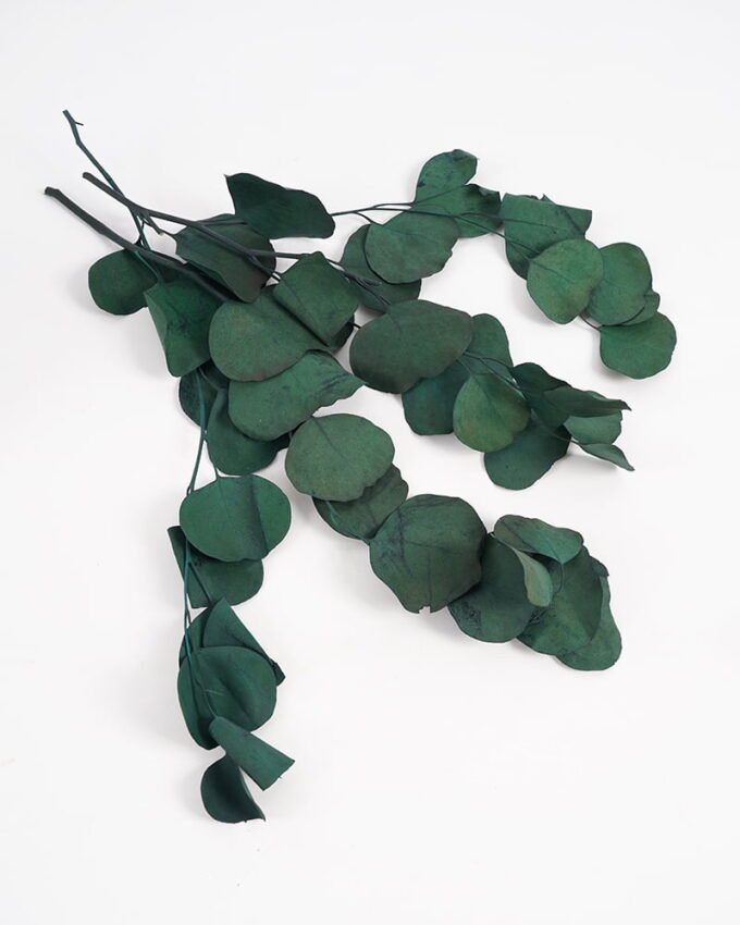 Dried Flowers H:30CM Dried natural flower in box GS-56621027 Dried Flowers YeahFlower is one of Chinese leading OEM manufacturers and exporters , supplying the silk flowers, wholesale artificial trees