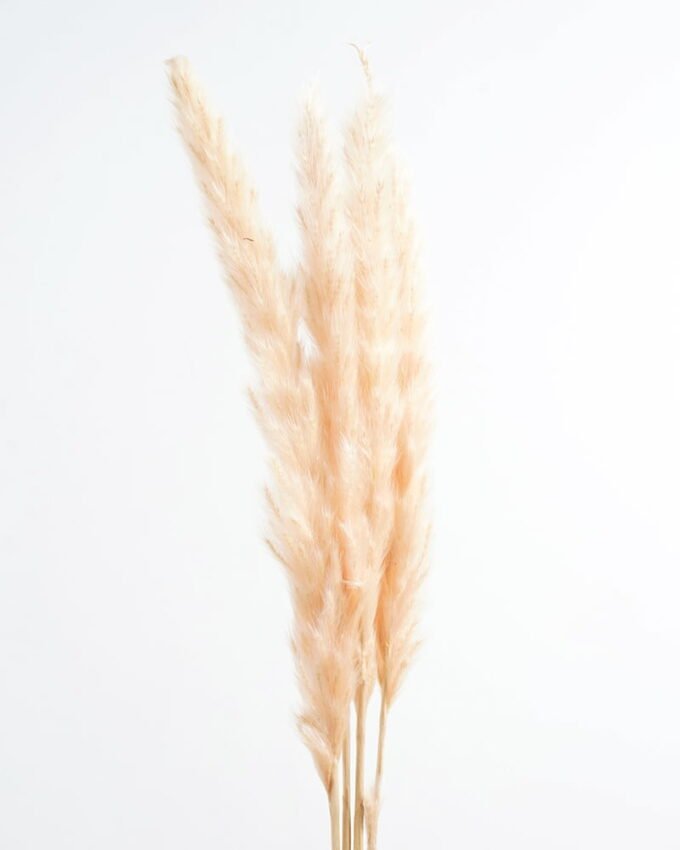 Dried Flowers H:30CM Dried natural flower in box GS-56621027 Dried Flowers YeahFlower is one of Chinese leading OEM manufacturers and exporters , supplying the silk flowers, wholesale artificial trees