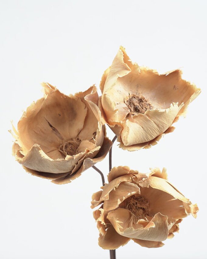 Dried Flowers Dry flower 3pcs bag REMARK standard pcs not weight GS-56621056_12 Dried Flowers 15*50CM Dry flower 3pcs/bag H:50CM(standard : pcs not weight) GS-56621056 Bouquet YeahFlower is one of Chinese leading OEM manufacturers and exporters , supplying the silk flowers, wholesale artificial trees