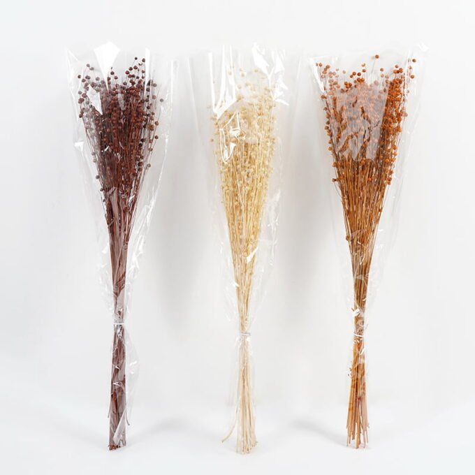 Dried Flowers 15*65CM LINUM USITATISSIMUM 60g GS-56619018 Bouquet YeahFlower is one of Chinese leading OEM manufacturers and exporters , supplying the silk flowers, wholesale artificial trees