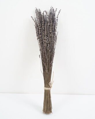 Dried Flowers 12*70cm Nature Lavender branch, 70g/bag GS-56621049-N1-RST Bouquet YeahFlower is one of Chinese leading OEM manufacturers and exporters , supplying the silk flowers, wholesale artificial trees Dried Flowers 12*70cm Nature Lavender branch, 70g/bag GS-56621049-N1-RST Bouquet YeahFlower is one of Chinese leading OEM manufacturers and exporters , supplying the silk flowers, wholesale artificial trees