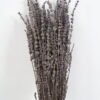 Dried Flowers Nature Lavender branch 70g bag GS-56621049-N1-RST_3 Dried Flowers 12*70cm Nature Lavender branch, 70g/bag GS-56621049-N1-RST Bouquet YeahFlower is one of Chinese leading OEM manufacturers and exporters , supplying the silk flowers, wholesale artificial trees