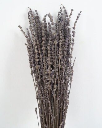Dried Flowers 12*70cm Nature Lavender branch, 70g/bag GS-56621049-N1-RST Bouquet YeahFlower is one of Chinese leading OEM manufacturers and exporters , supplying the silk flowers, wholesale artificial trees Dried Flowers 12*70cm Nature Lavender branch, 70g/bag GS-56621049-N1-RST Bouquet YeahFlower is one of Chinese leading OEM manufacturers and exporters , supplying the silk flowers, wholesale artificial trees