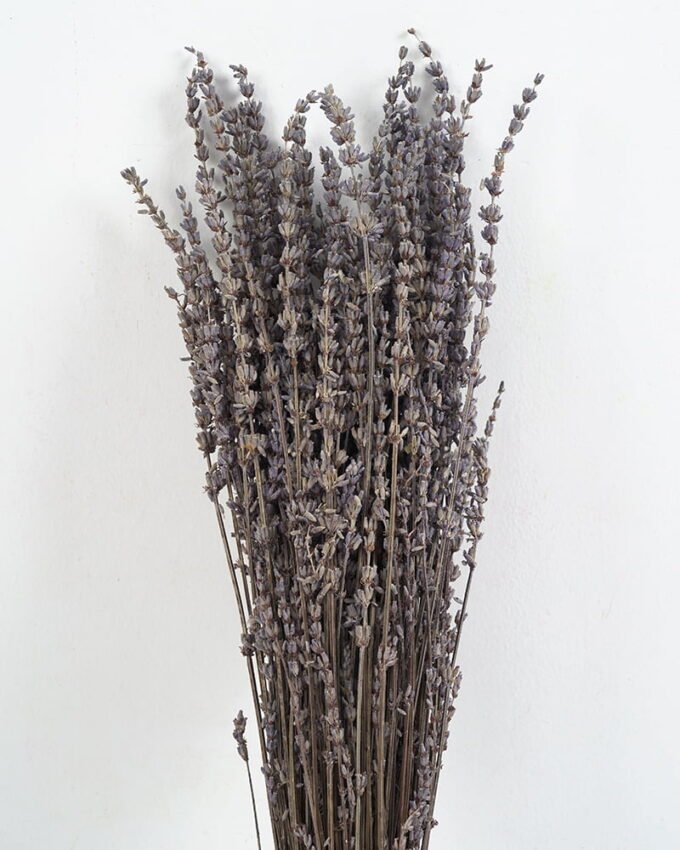 Dried Flowers Nature Lavender branch 70g bag GS-56621049-N1-RST_3 Dried Flowers 12*70cm Nature Lavender branch, 70g/bag GS-56621049-N1-RST Bouquet YeahFlower is one of Chinese leading OEM manufacturers and exporters , supplying the silk flowers, wholesale artificial trees