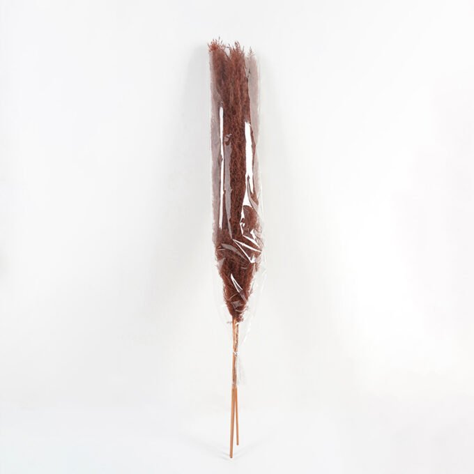 Dried-Flowers-Reed-3pc-bag-REMARK-standard-pcs-not-weight-GS-56619056CONTI_2-1.jpg Dried Flowers 24*140CM Reed,3pc/bag(REMARK : standard : pcs not weight) GS-56619056 Bouquet YeahFlower is one of Chinese leading OEM manufacturers and exporters , supplying the silk flowers, wholesale artificial trees