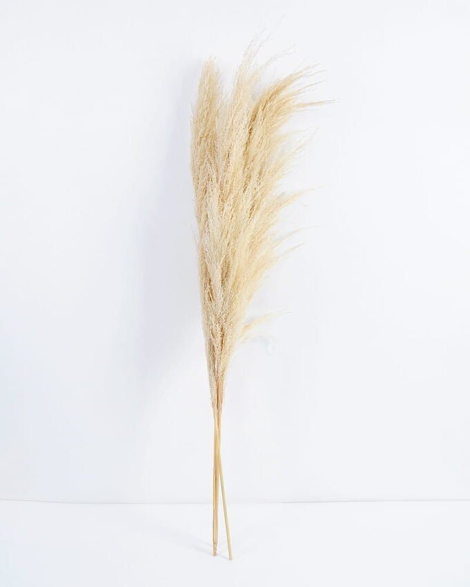 Dried Flowers 17*110CM Reed,3pc/bag, H:110cm/pc(REMARK :  standard : pcs not weight) GS-56620104 Bouquet YeahFlower is one of Chinese leading OEM manufacturers and exporters , supplying the silk flowers, wholesale artificial trees