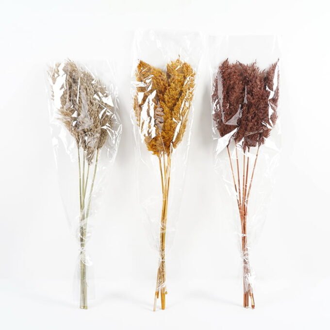 Dried-Flowers-Reed-5pc-bag-REMARK-standard-pcs-not-weight-GS-56619055CONTI-1.jpg Dried Flowers 18*68CM Reed,5pc/bag(REMARK : standard : pcs not weight) GS-56619055 Bouquet YeahFlower is one of Chinese leading OEM manufacturers and exporters , supplying the silk flowers, wholesale artificial trees