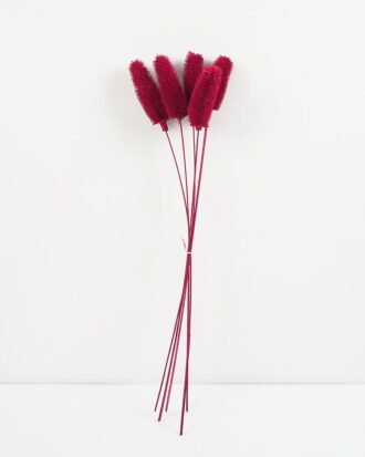 Dried Flowers 12*60CM caesalpinaia minax bouquet，5pc/bag(REMARK:standard:pcs not weight) GS-56619008-R1 Bouquet YeahFlower is one of Chinese leading OEM manufacturers and exporters , supplying the silk flowers, wholesale artificial trees