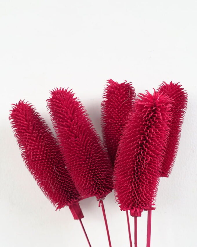 Dried Flowers 12*60CM caesalpinaia minax bouquet，5pc/bag(REMARK:standard:pcs not weight) GS-56619008-R1 Bouquet 3,000+ sqm showroom with thousands of artificial flowers, plants & trees ready for global sourcing.