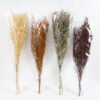 Dried Flowers 16*70CM lavandula angustifolia 70g GS-56619011 Bouquet YeahFlower is one of Chinese leading OEM manufacturers and exporters , supplying the silk flowers, wholesale artificial trees