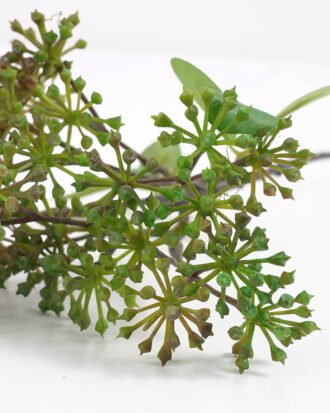 Artificial Flower 16*36CM Berry spray*5 GS-57721007 Single Flowers YeahFlower is one of Chinese leading OEM manufacturers and exporters , supplying the silk flowers, wholesale artificial trees Artificial Flower 16*36CM Berry spray*5 GS-57721007 Single Flowers YeahFlower is one of Chinese leading OEM manufacturers and exporters , supplying the silk flowers, wholesale artificial trees