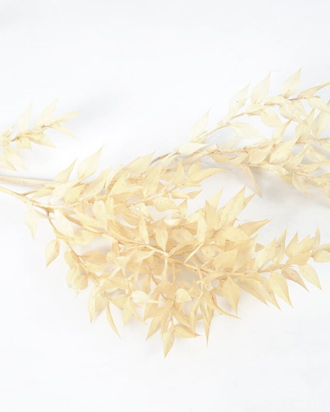 Artificial Flower 42*34.5*5.5CM Dried natural flower in box GS-56621061 Single Flowers YeahFlower is one of Chinese leading OEM manufacturers and exporters , supplying the silk flowers, wholesale artificial trees