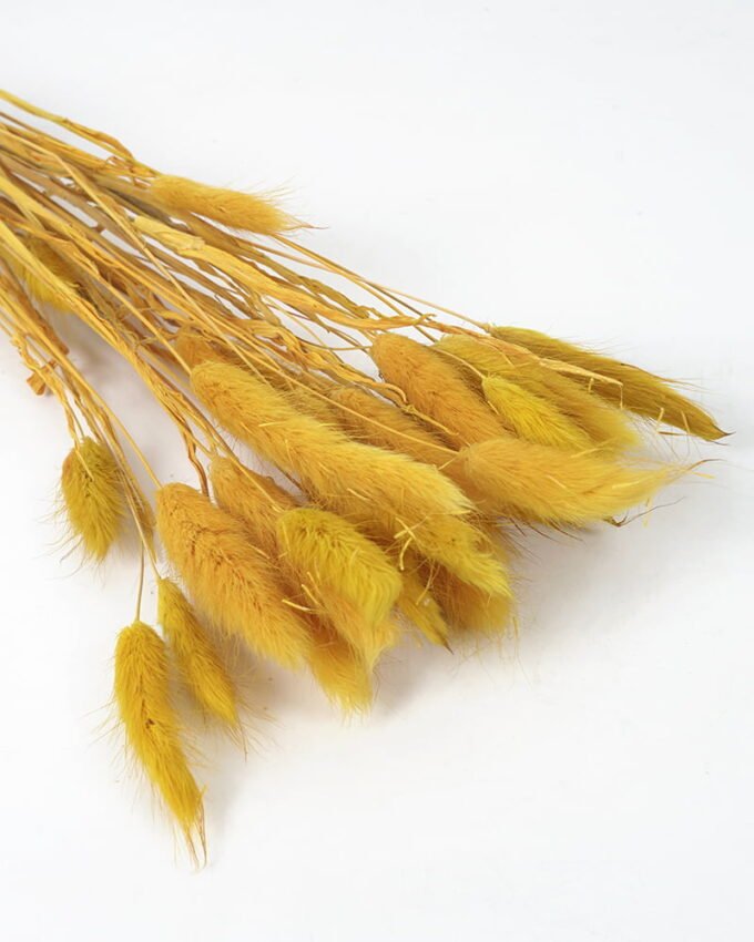 Artificial Flower 42*34.5*5.5CM Dried natural flower in box GS-56621061 Single Flowers YeahFlower is one of Chinese leading OEM manufacturers and exporters , supplying the silk flowers, wholesale artificial trees