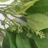 Artificial Flower 25*42CM Eucalyptus bush*3 GS-57721006 Flowers Bush 3,000+ sqm showroom with thousands of artificial flowers, plants & trees ready for global sourcing.