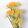 Artificial Flower 16*66CM Fistular Onion flower*2 GS-49621013 Single Flowers YeahFlower is one of Chinese leading OEM manufacturers and exporters , supplying the silk flowers, wholesale artificial trees