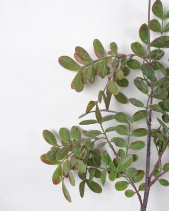 Artificial Flower 22*94CM Leaves spray GS-49621015 Single Flowers YeahFlower is one of Chinese leading OEM manufacturers and exporters , supplying the silk flowers, wholesale artificial trees