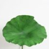 Artificial Flower 34*80cm Lotus leaf GS-18221002 Single Flowers YeahFlower is one of Chinese leading OEM manufacturers and exporters , supplying the silk flowers, wholesale artificial trees