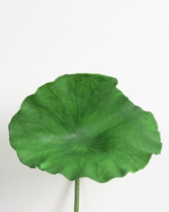 Artificial Flower 34*80cm Lotus leaf GS-18221002 Single Flowers YeahFlower is one of Chinese leading OEM manufacturers and exporters , supplying the silk flowers, wholesale artificial trees