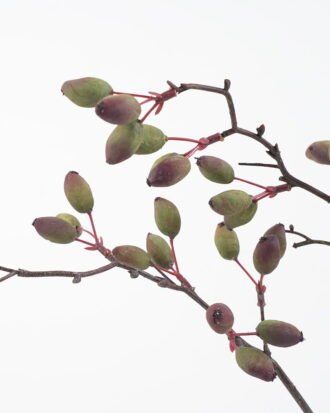 Artificial Flower 22*96CM berry GS-57721010-K1 Single Flowers YeahFlower is one of Chinese leading OEM manufacturers and exporters , supplying the silk flowers, wholesale artificial trees Artificial Flower 22*96CM berry GS-57721010-K1 Single Flowers YeahFlower is one of Chinese leading OEM manufacturers and exporters , supplying the silk flowers, wholesale artificial trees