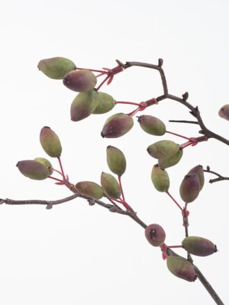 Artificial Flower 18*90CM Berry spray*3 GS-49621002 Single Flowers 3,000+ sqm showroom with thousands of artificial flowers, plants & trees ready for global sourcing.