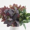 Artificial Flower wild fruit Bouquet*8 GS-60120026AL Bouquet YeahFlower is one of Chinese leading OEM manufacturers and exporters , supplying the silk flowers, wholesale artificial trees