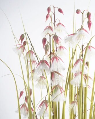 Artificial Grass 78*78*153CM Grass in pp pot GS-61921019-Y1 Potted Flowers&Plants YeahFlower is one of Chinese leading OEM manufacturers and exporters , supplying the silk flowers, wholesale artificial trees