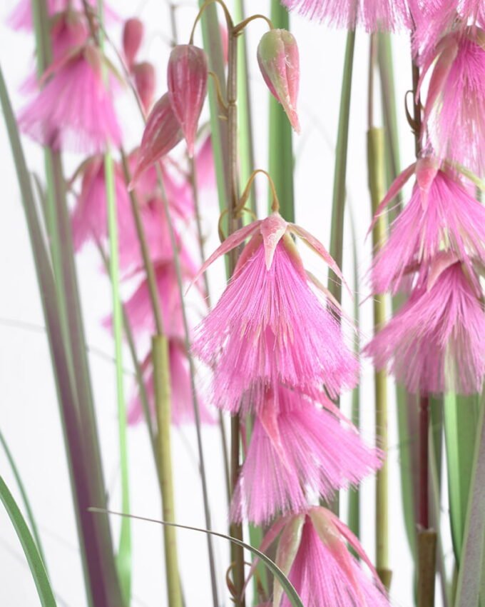 Artificial Grass 78*78*153CM Grass in pp pot GS-61921019 Potted Flowers&Plants YeahFlower is one of Chinese leading OEM manufacturers and exporters , supplying the silk flowers, wholesale artificial trees