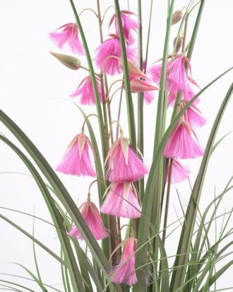 Artificial Grass 68*68*93CM Grass in pp pot GS-61921021 Potted Flowers&Plants YeahFlower is one of Chinese leading OEM manufacturers and exporters , supplying the silk flowers, wholesale artificial trees