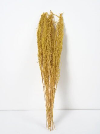 Dried Flowers 24*120CM Reed，3pc/bag(REMARK :  standard : pcs not weight) GS-56619057CONTI-G1 Dried Flowers 3,000+ sqm showroom with thousands of artificial flowers, plants & trees ready for global sourcing.