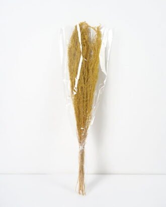 Dried Flowers 12*75CM Dried leaves 70g(70g/bouquet, H:75CM) GS-56619012-Y1 Bouquet YeahFlower is one of Chinese leading OEM manufacturers and exporters , supplying the silk flowers, wholesale artificial trees Dried Flowers 12*75CM Dried leaves 70g(70g/bouquet, H:75CM) GS-56619012-Y1 Bouquet YeahFlower is one of Chinese leading OEM manufacturers and exporters , supplying the silk flowers, wholesale artificial trees