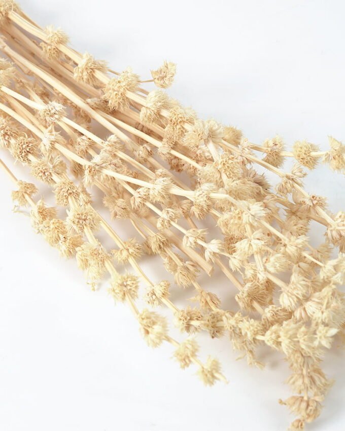 Dried Flowers 42*34.5*5.5CM Dried natural flower in box GS-56621060 Bouquet YeahFlower is one of Chinese leading OEM manufacturers and exporters , supplying the silk flowers, wholesale artificial trees